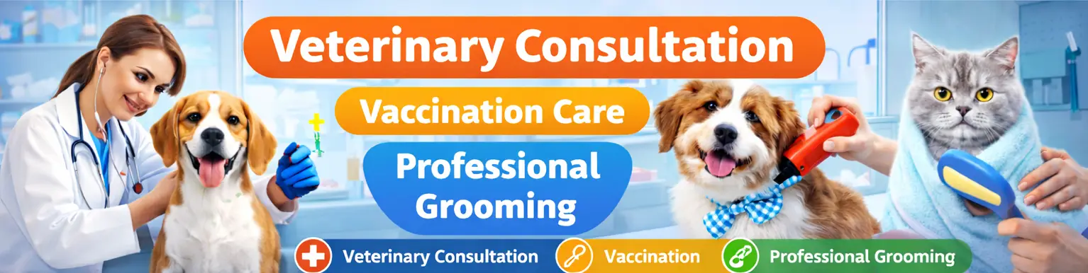pet grooming near me